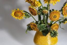 Bertozzi & Casoni, Per Van Gogh