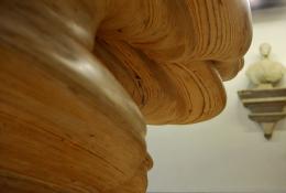 Tony Cragg Elbow (Detail)