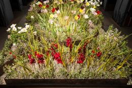 Lilla Tabasso, Crispijn de Passe Renaissance Garden, 2024-2025, Ph. Fred Dott