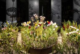 Lilla Tabasso, Crispijn de Passe Renaissance Garden, 2024-2025, Ph. Fred Dott