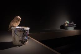 Installation view, Ph. S. Cherubini