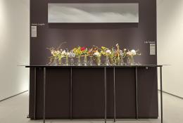Lilla Tabasso & Jessica Loughlin, Primavera & unfolding light, 2023-25 & 2016, Glass