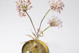 Lilla Tabasso (Milan IT, 1973), Plates series, Unique pieces, Milan, 2025, Murano glass lamp-worked by the artist, brass