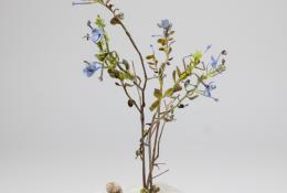 Lilla Tabasso (Milan IT, 1973), Marble series, Unique pieces, Milan, 2025, Murano glass lamp-worked by the artist, marble