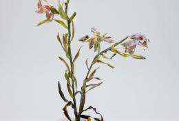 Lilla Tabasso (Milan IT, 1973), Marble series, Unique pieces, Milan, 2025, Murano glass lamp-worked by the artist, marble