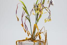 Lilla Tabasso (Milan IT, 1973), Marble series, Unique pieces, Milan, 2025, Murano glass lamp-worked by the artist, marble