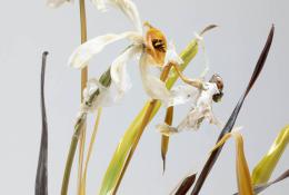 Lilla Tabasso (Milan IT, 1973), Marble series, Unique pieces, Milan, 2025, Murano glass lamp-worked by the artist, marble