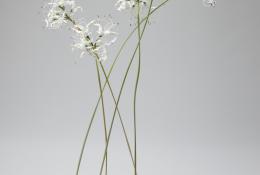 Lilla Tabasso (Milan IT, 1973), Plates series, Unique pieces, Milan, 2025, Murano glass lamp-worked by the artist, brass