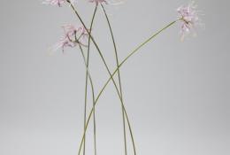 Lilla Tabasso (Milan IT, 1973), Plates series, Unique pieces, Milan, 2025, Murano glass lamp-worked by the artist, brass