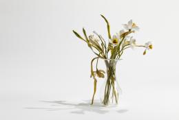Lilla Tabasso Narcisi Unique piece Milano, 2018 H 36 X 35 X 26 Flamed Murano Glass, hand-blown and modelled Courtesy: Caterina Tognon, Venezia