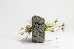 Lilla Tabasso Muretto Margherite Unique piece Milano, 2018 H 18 X 33 X 28 cm Flamed Murano Glass, hand-blown and modelled Courtesy: Caterina Tognon, Venezia