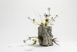  Lilla Tabasso Muretto Anemoni Unique piece Milano, 2018 H 46 X 36 X 32 Flamed Murano Glass, hand-blown and modelled Courtesy: Caterina Tognon, Venezia