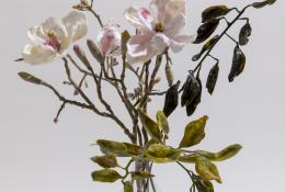 Vaso con magnolia