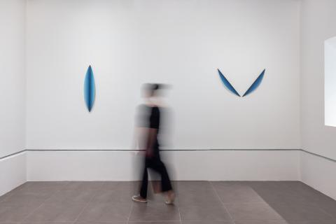 Jessica Loughlin | sorpresi dal blu